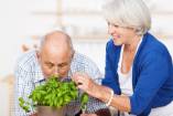 Польза растениеводства для пожилого человека