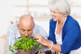 Польза растениеводства для пожилого человека